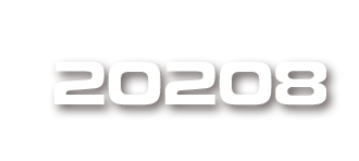 20208